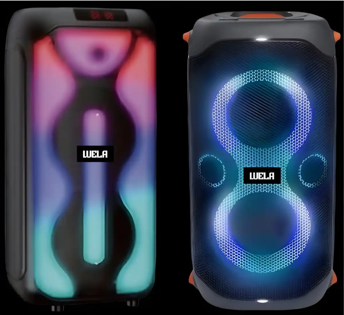 Speaker Outdoor