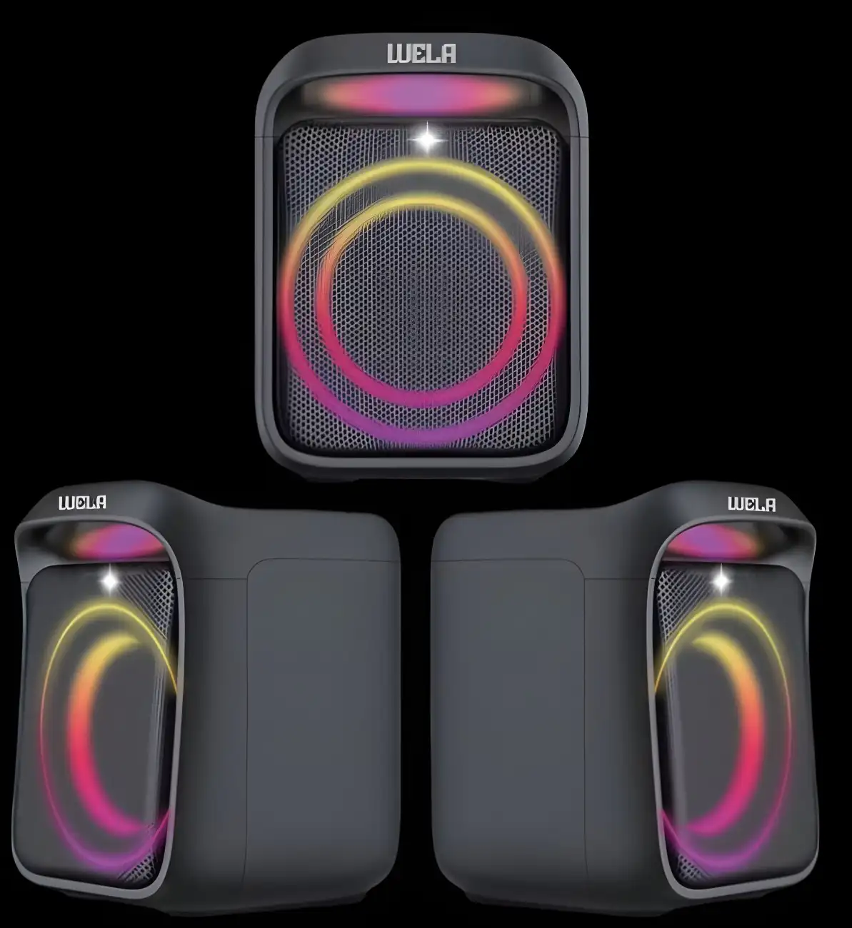 Speaker Portable